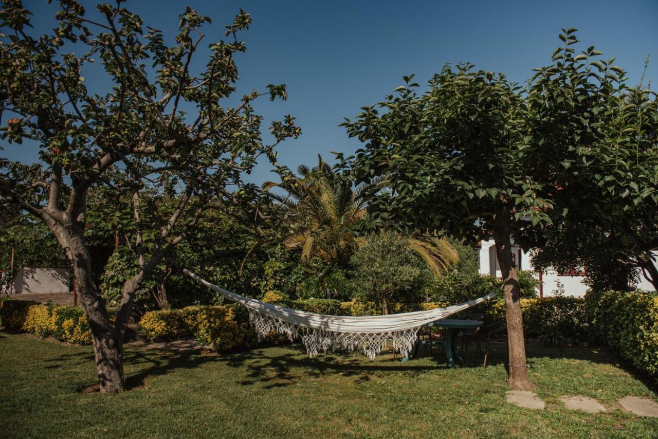 Casa De Marlaes Villa Lousada Exterior foto