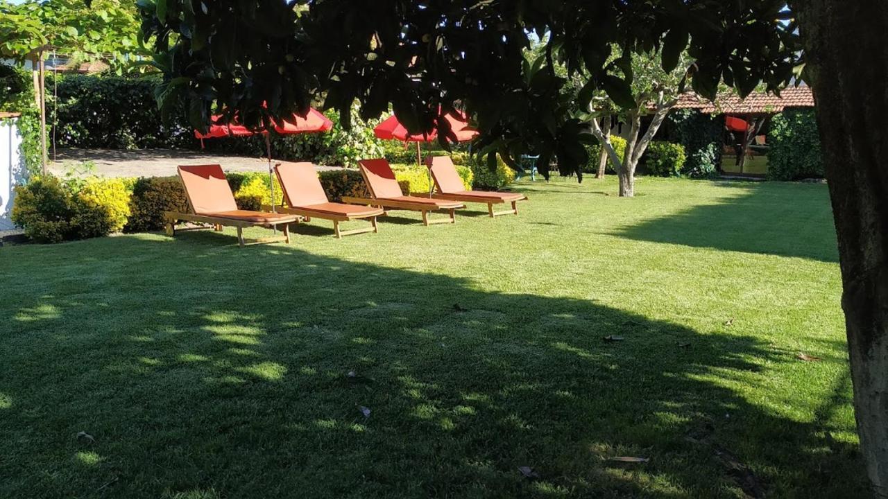 Casa De Marlaes Villa Lousada Exterior foto