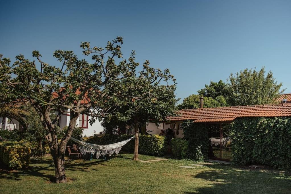 Casa De Marlaes Villa Lousada Exterior foto