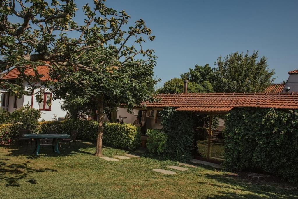 Casa De Marlaes Villa Lousada Exterior foto