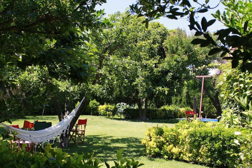Casa De Marlaes Villa Lousada Exterior foto