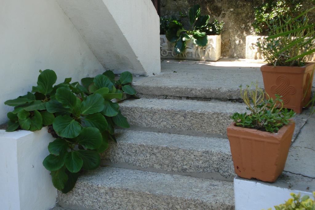 Casa De Marlaes Villa Lousada Exterior foto